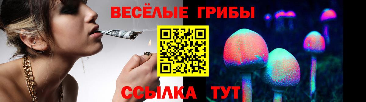 Галлюциногенные грибы Magic Shrooms  Галлюциногенные грибы Cubensis  Шатура  Вход с VPN 