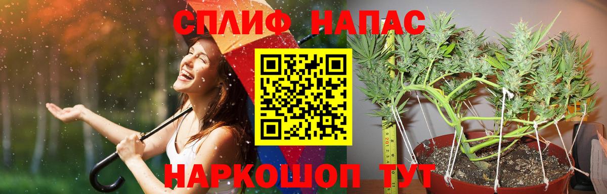 Бошки марихуана марихуана  Бошки марихуана планчик  Вход с VPN  Шатура 